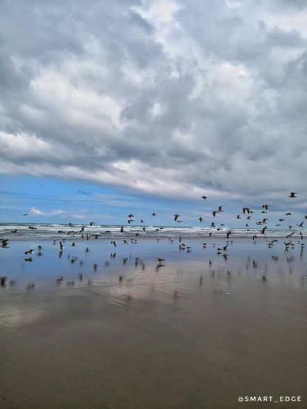 Odoo • Texte et Image