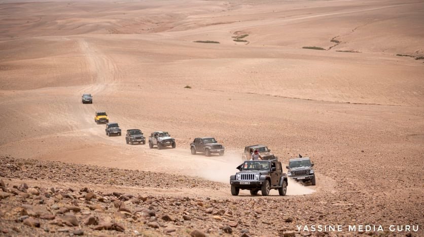 Odoo • Texte et Image