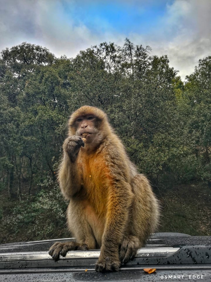 Odoo • Texte et Image