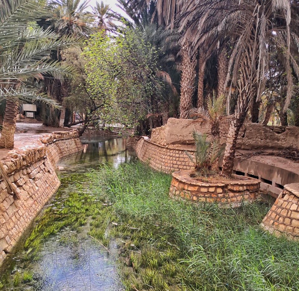 Odoo • Texte et Image