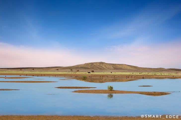 Odoo • Texte et Image