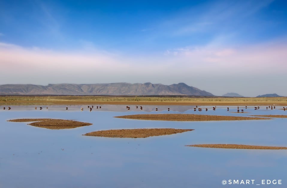 Odoo • Texte et Image