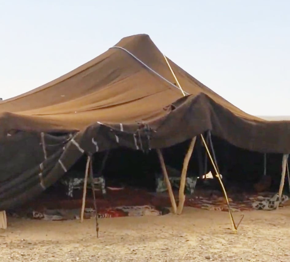 Odoo • Texte et Image