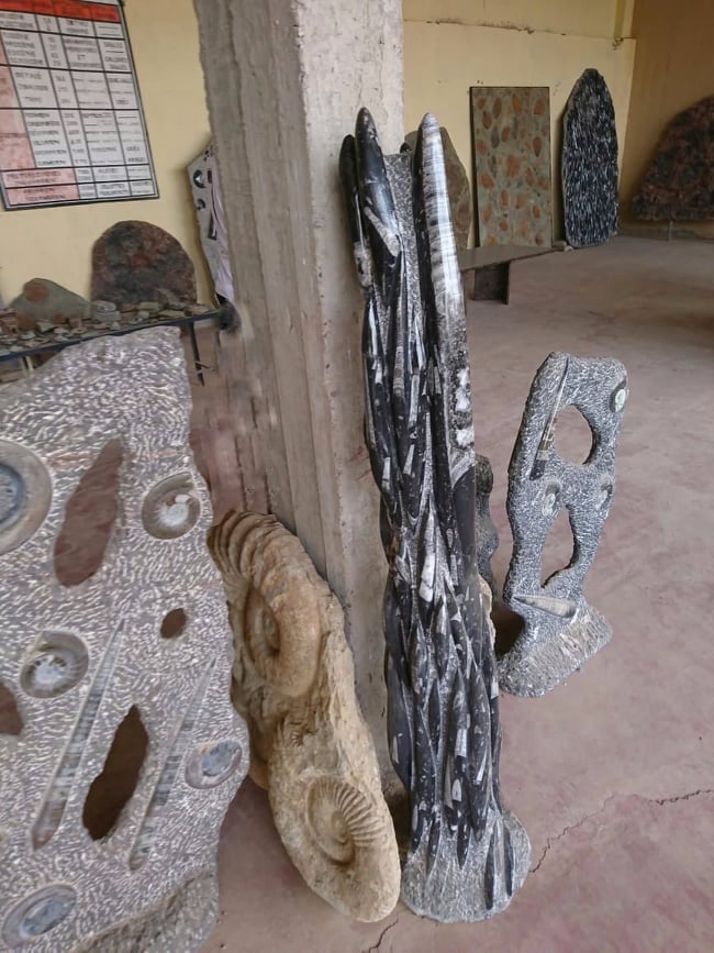 Odoo • Texte et Image