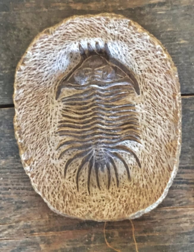 Odoo • Texte et Image