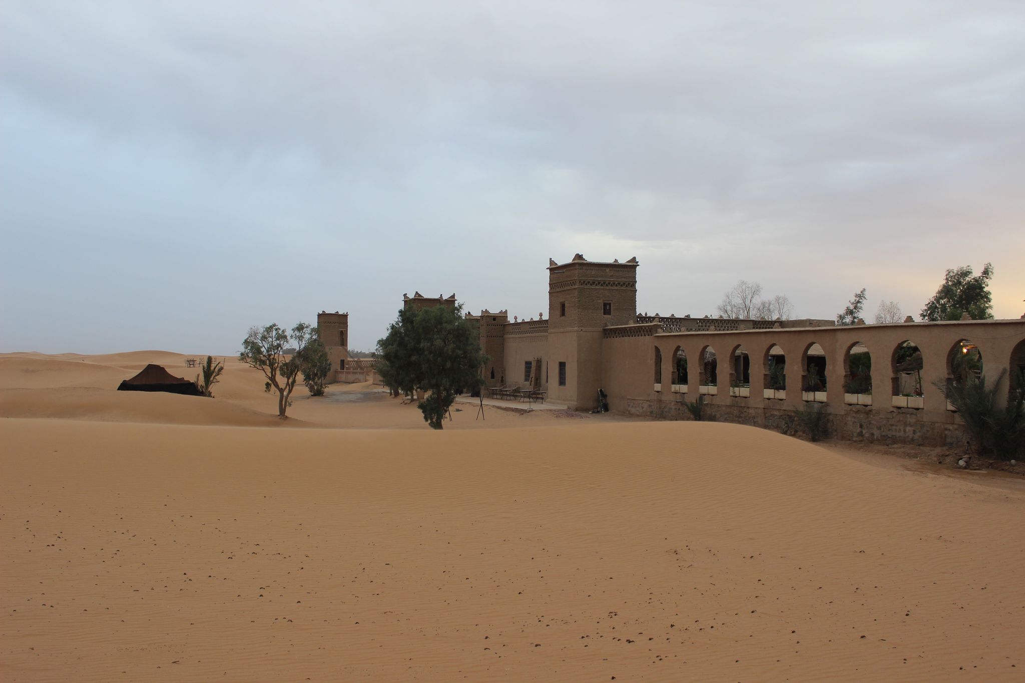 Odoo • Texte et Image