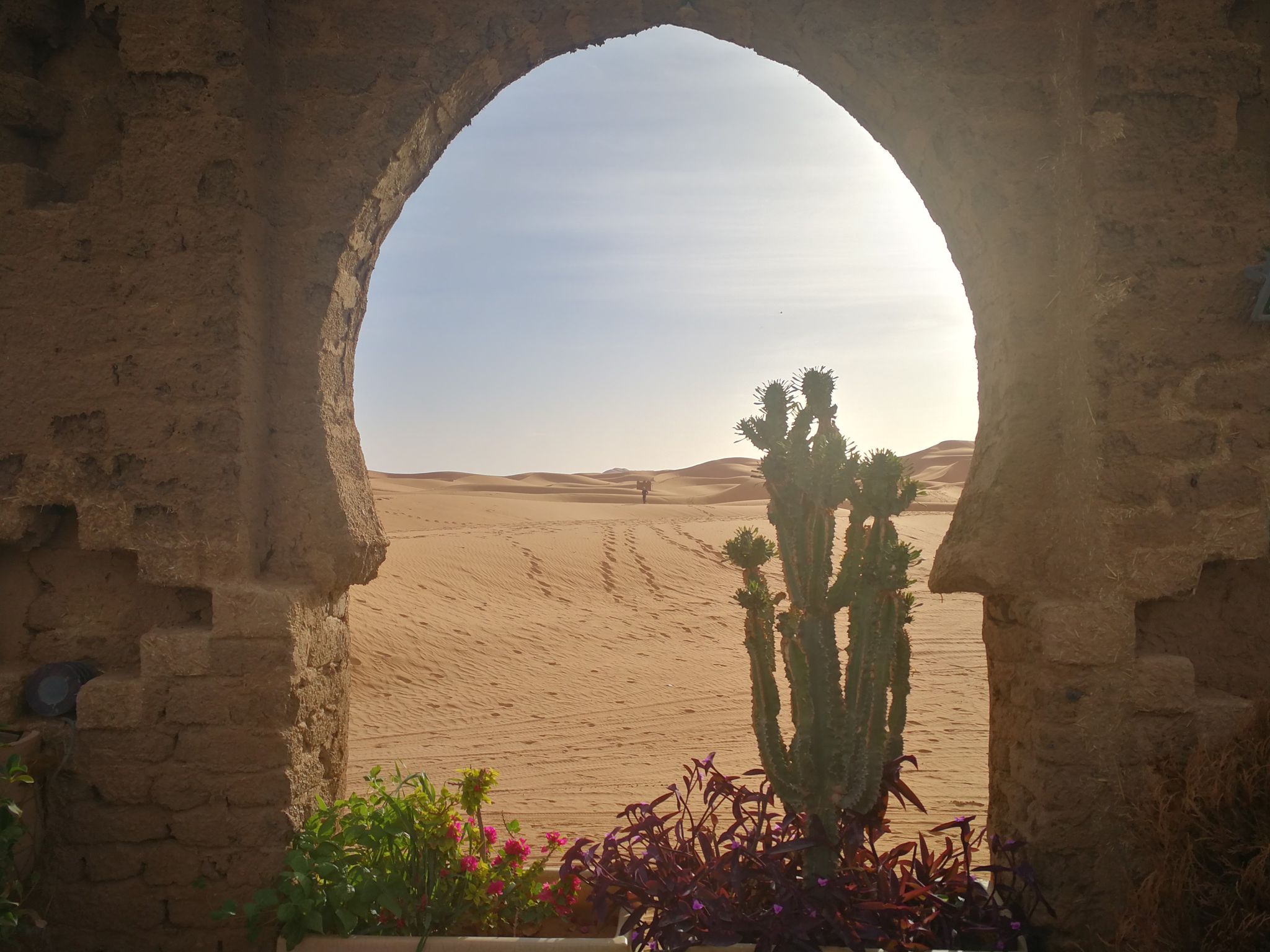 Odoo • Texte et Image