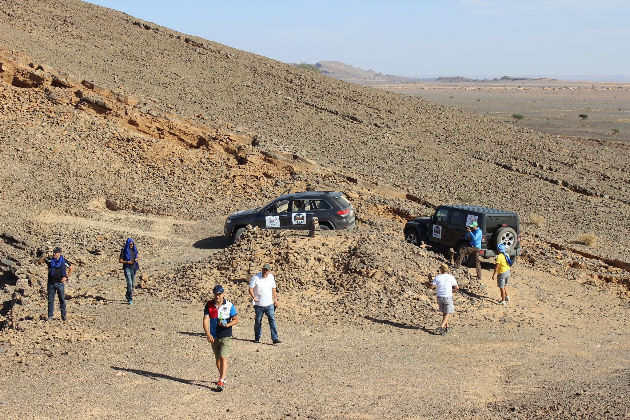 Odoo • Texte et Image