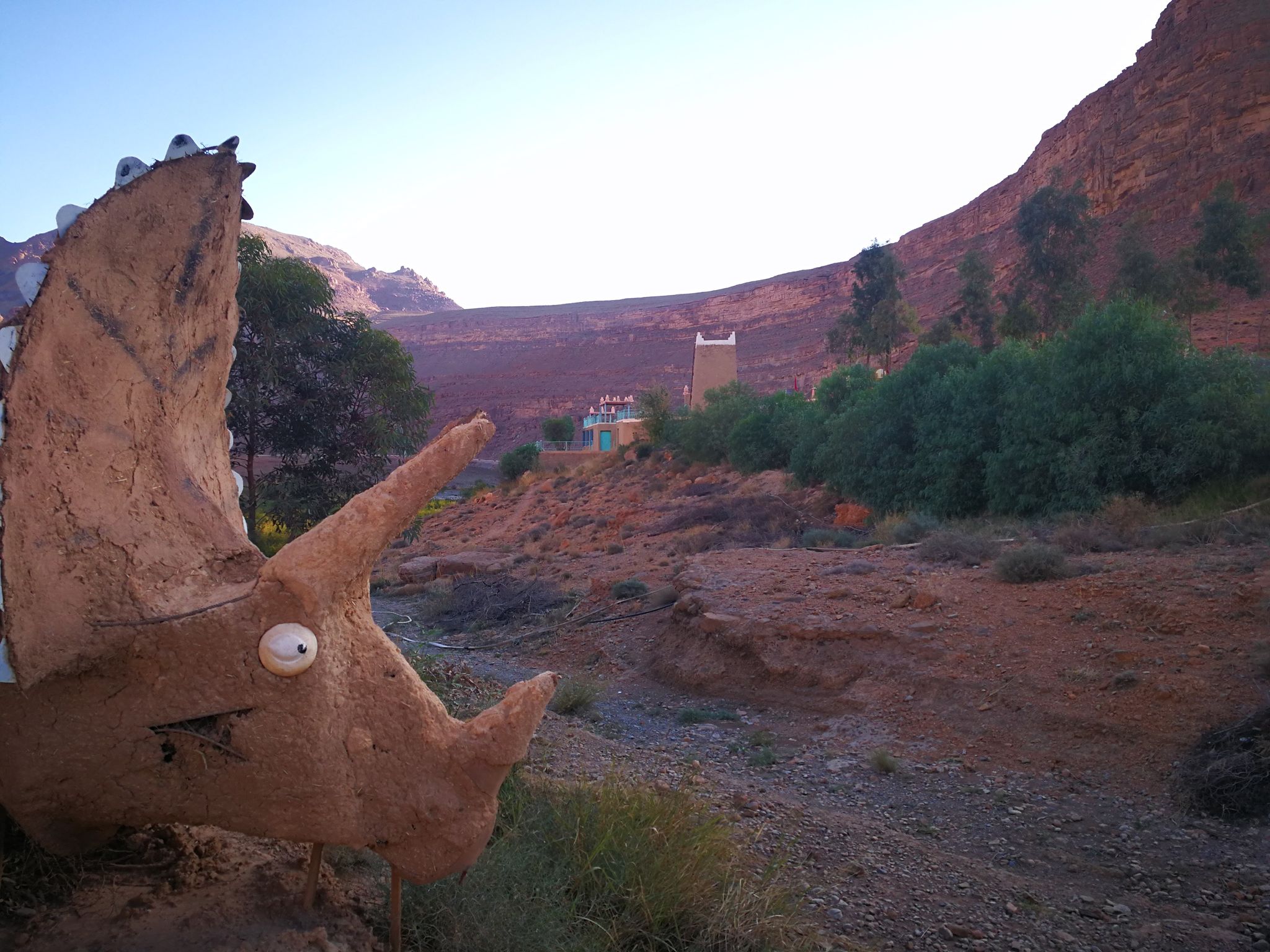 Odoo • Texte et Image