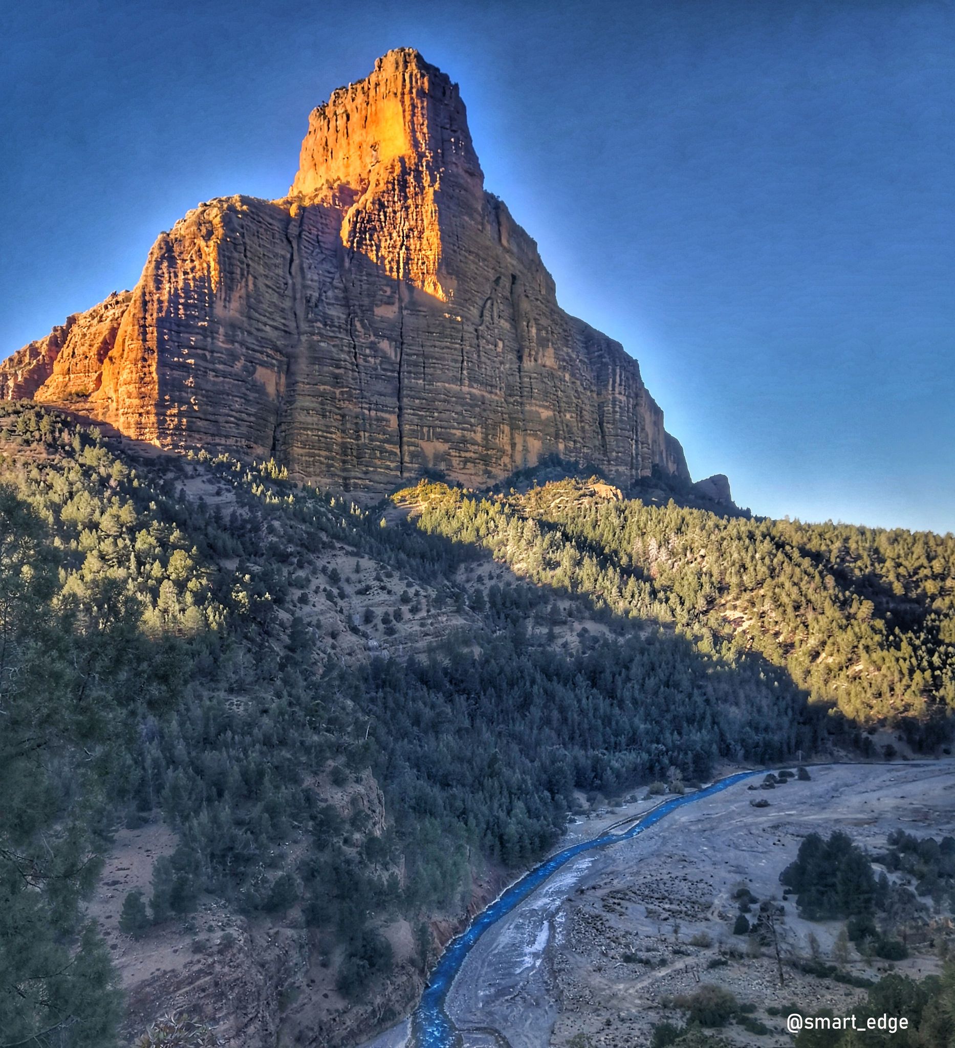 Odoo • Texte et Image