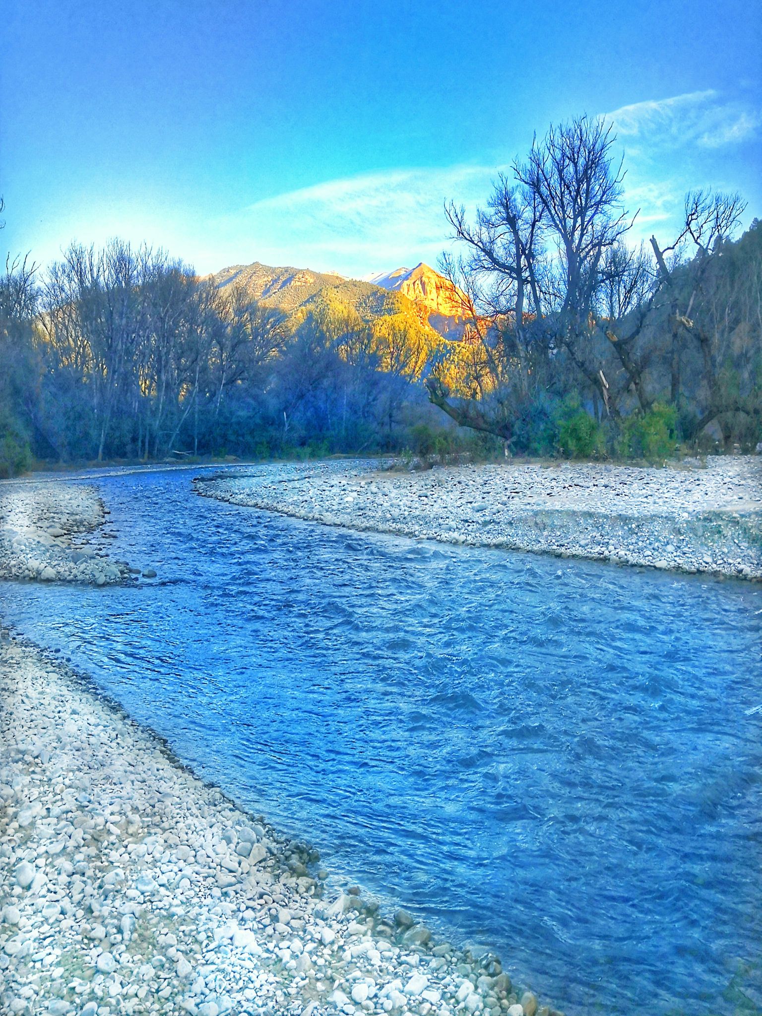 Odoo • Texte et Image