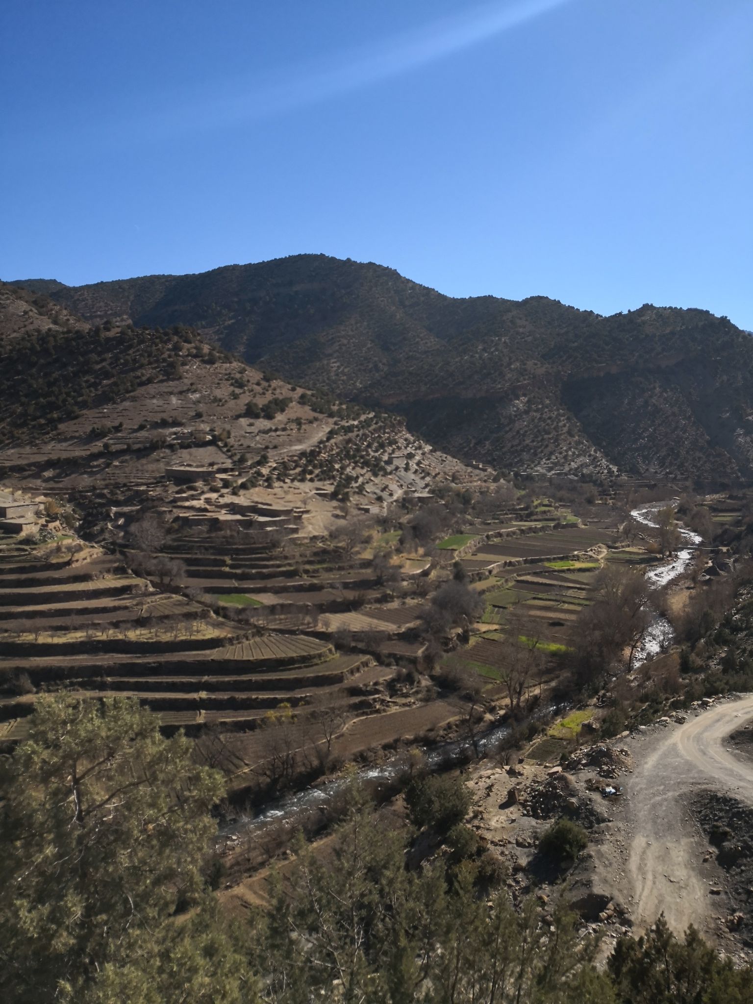 Odoo • Texte et Image