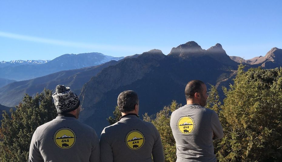 Odoo • Texte et Image