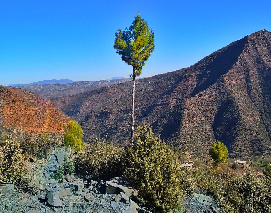 Odoo • Texte et Image