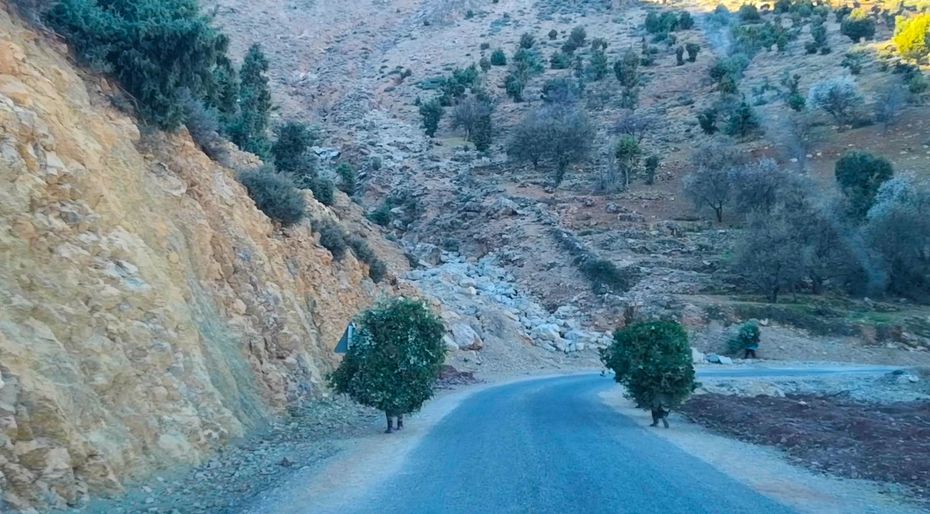 Odoo • Texte et Image