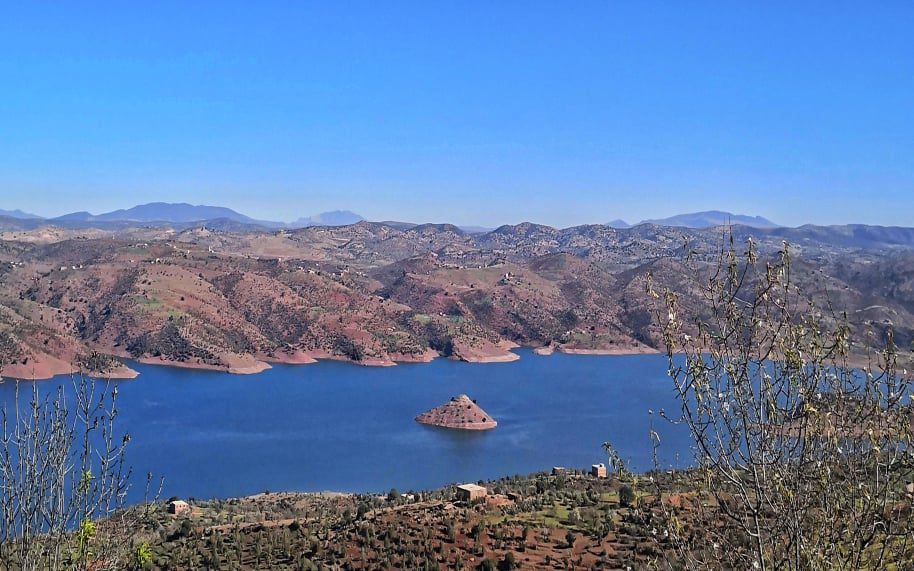 Odoo • Texte et Image