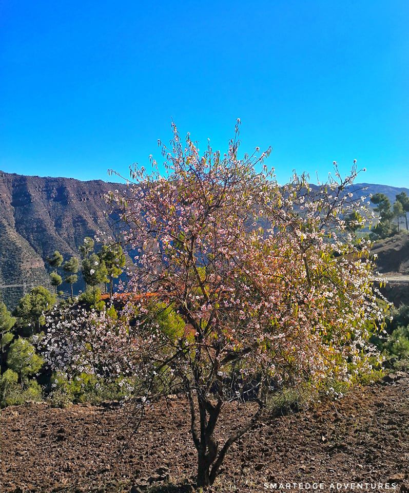 Odoo • Texte et Image