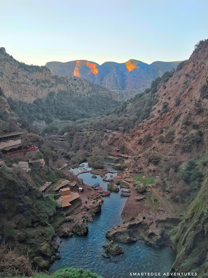 Odoo • Texte et Image