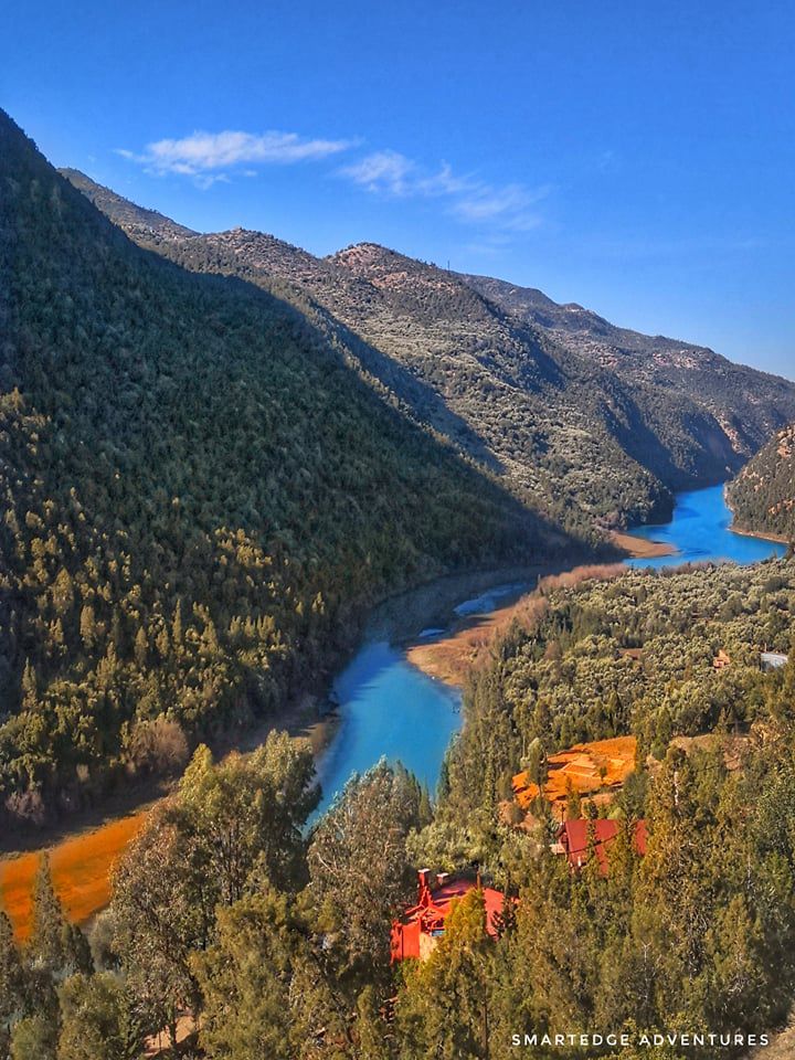 Odoo • Texte et Image