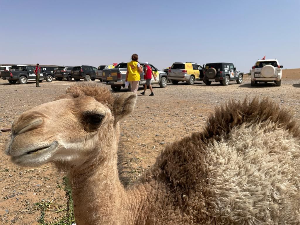 Image de diapositive