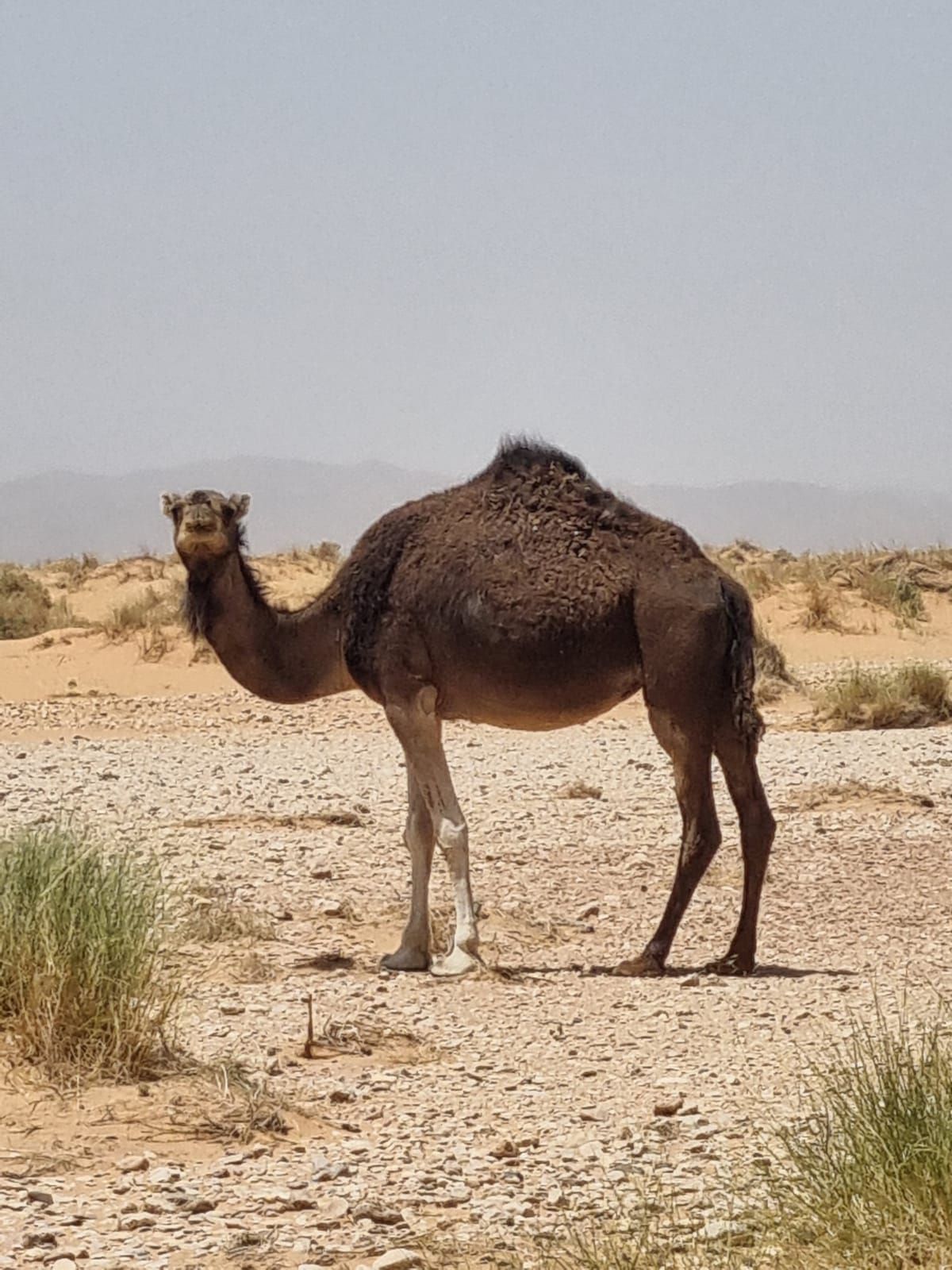 Image de diapositive