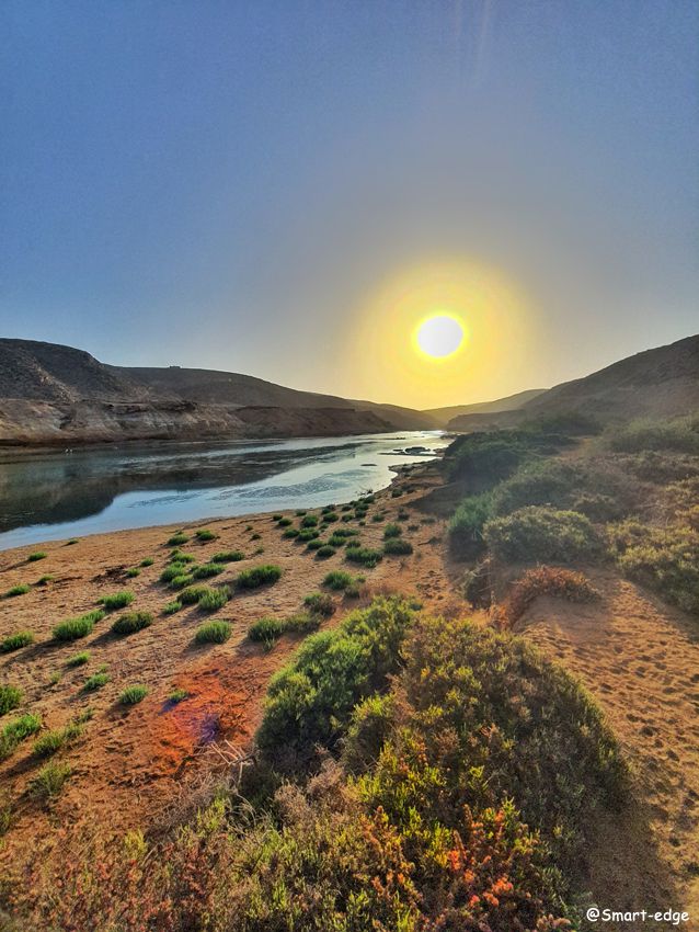 Odoo • Texte et Image