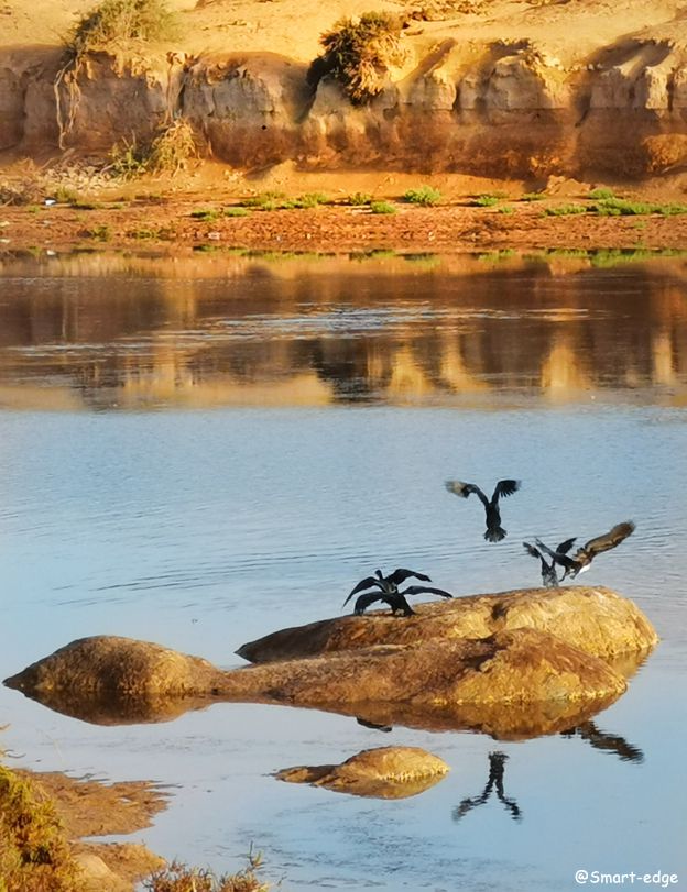 Odoo • Texte et Image