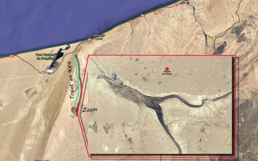 Odoo • Texte et Image