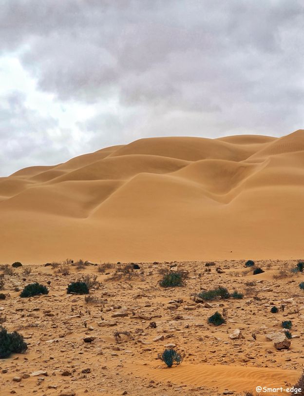 Odoo • Texte et Image