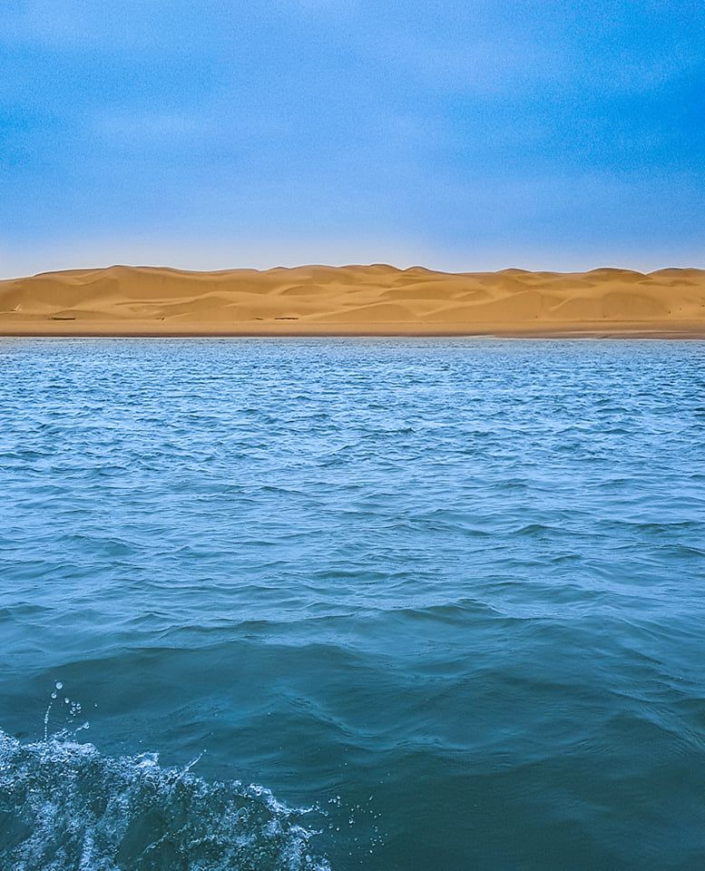 Odoo • Texte et Image