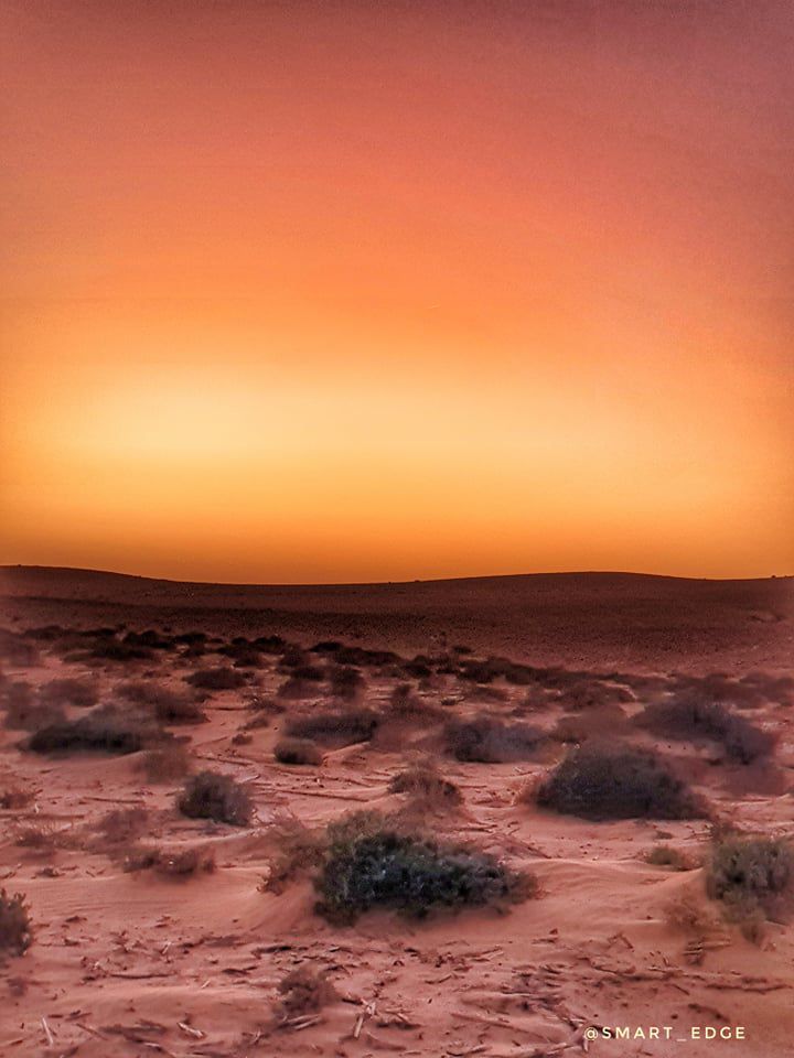 Odoo • Texte et Image