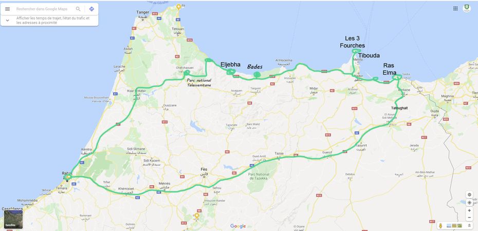 Odoo • Texte et Image