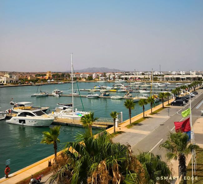 Odoo • Texte et Image