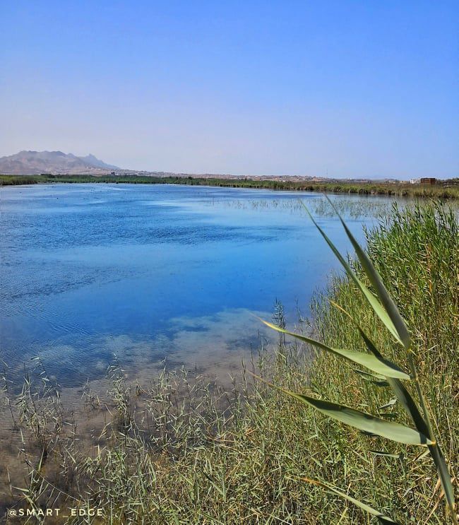 Odoo • Texte et Image