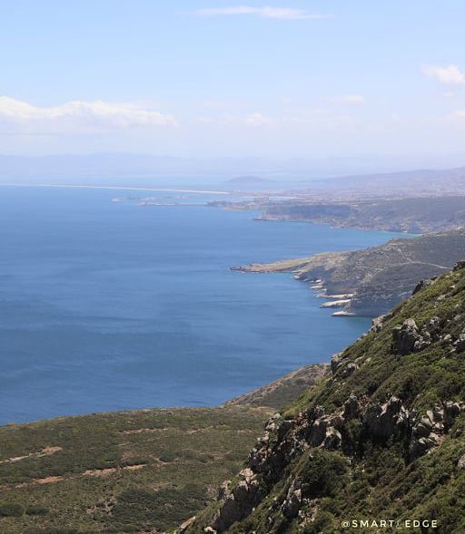 Odoo • Texte et Image