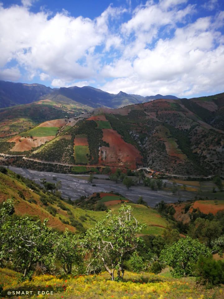 Odoo • Texte et Image