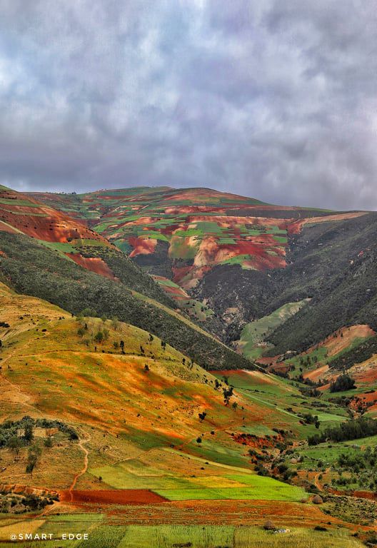 Odoo • Texte et Image