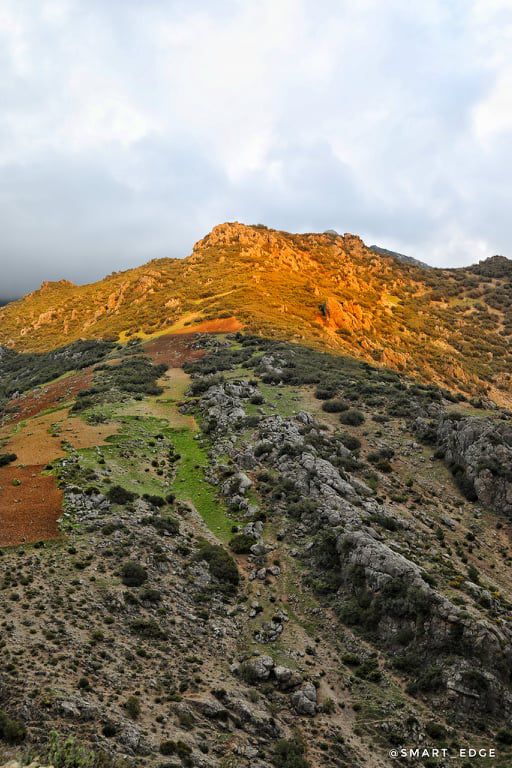 Odoo • Texte et Image