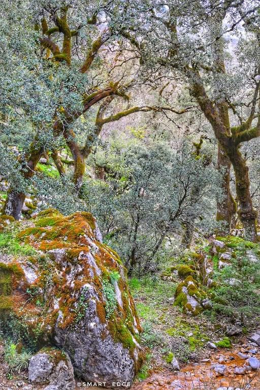 Odoo • Texte et Image