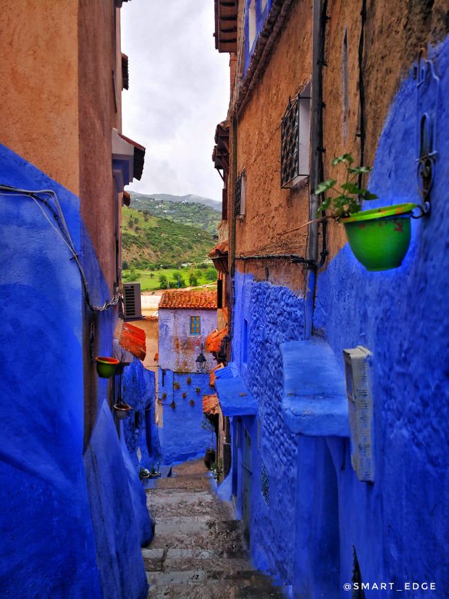 Odoo • Texte et Image