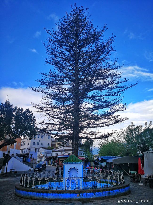 Odoo • Texte et Image