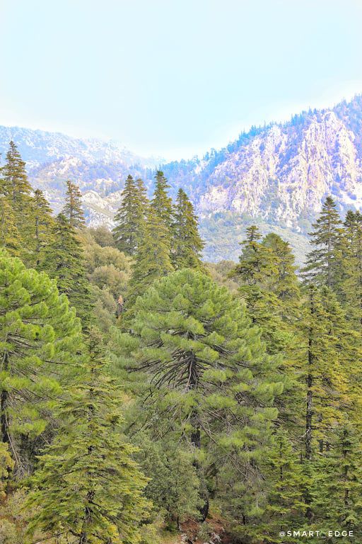 Odoo • Texte et Image